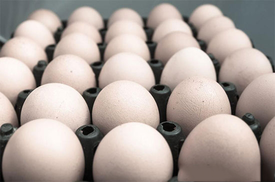 美国产鸡蛋过剩，竟施压要求别国市场开放